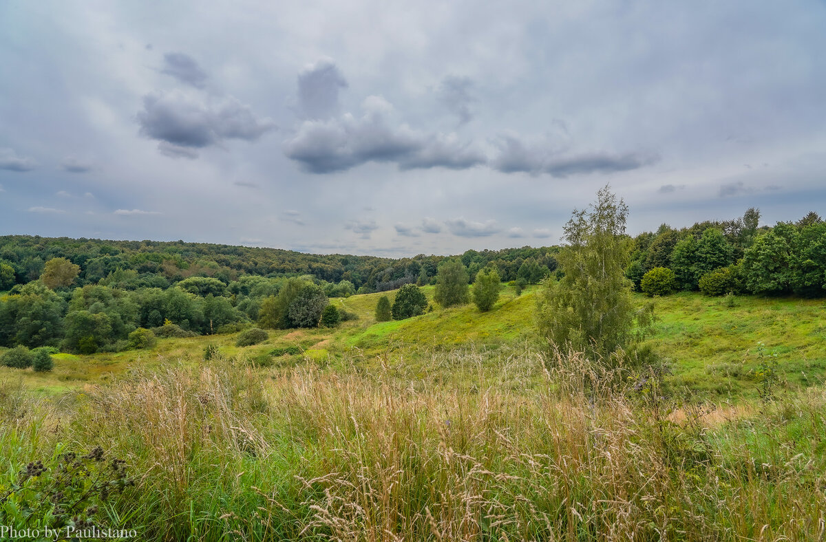 Август в Царицыно... - Владимир Жданов