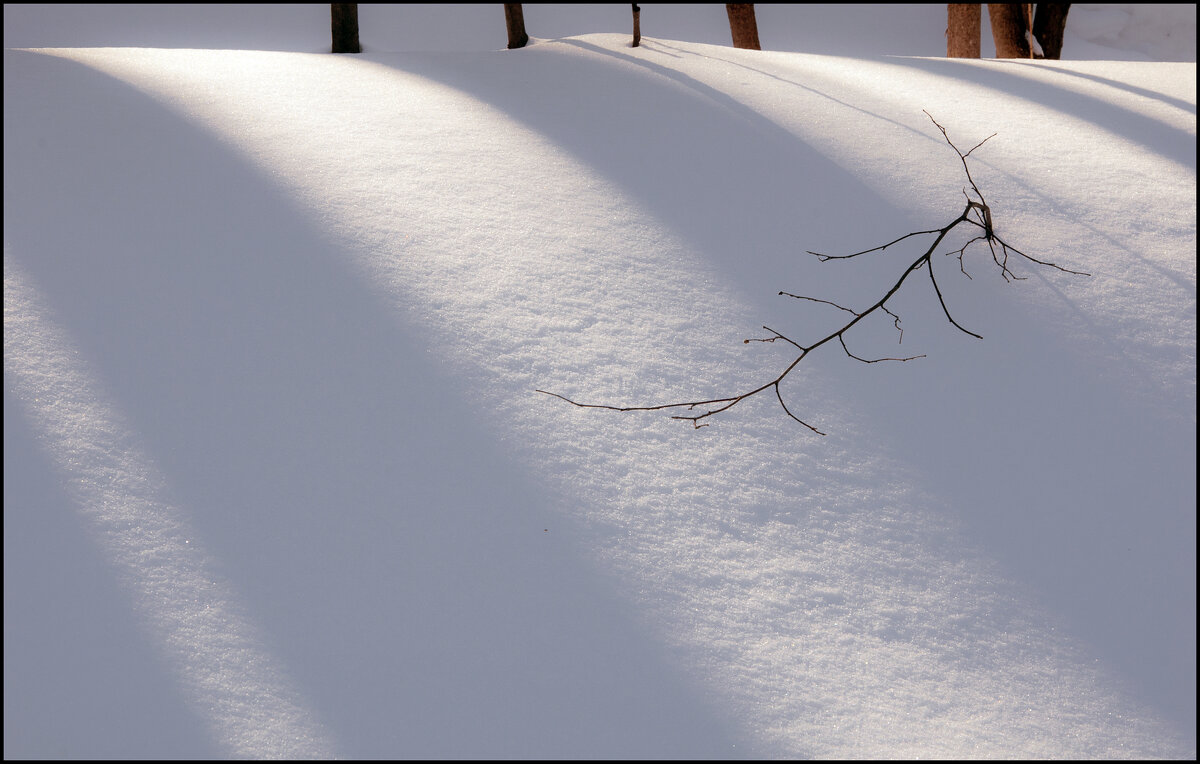 Март - **** vedin