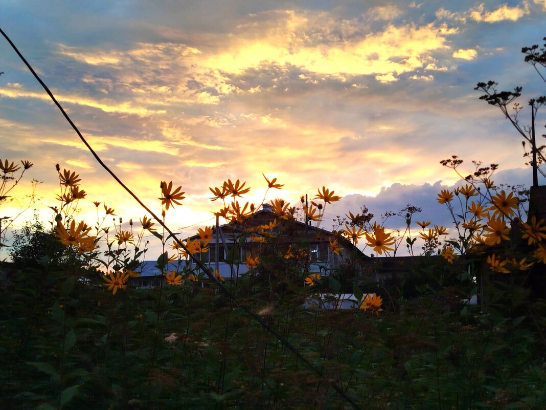 на закате дня - Ольга Конькова