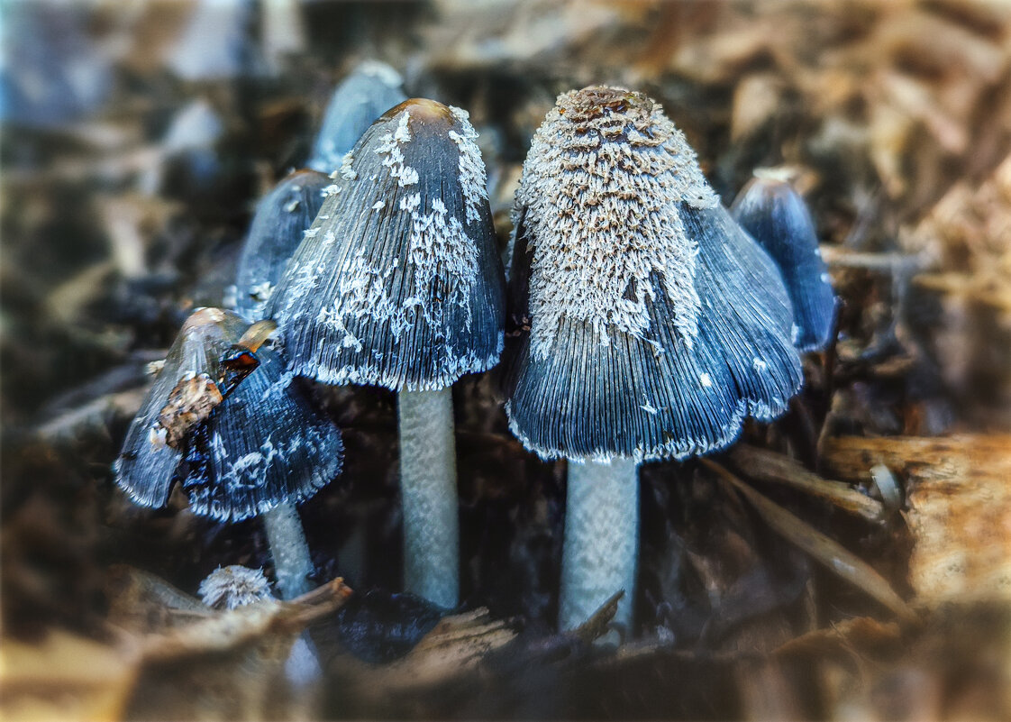 На мусорной куче - AZ east3