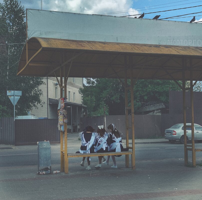 Последний звонок - Ирина Курмалеева