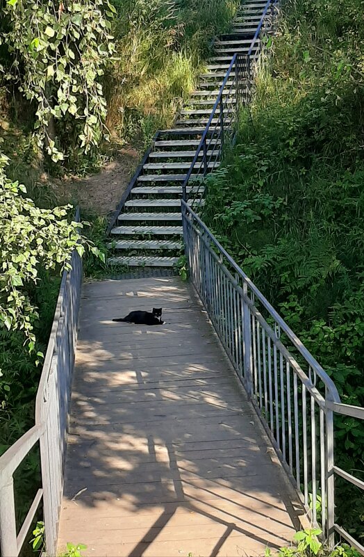 ... - Наталья Герасимова ... - Наталья Герасимова