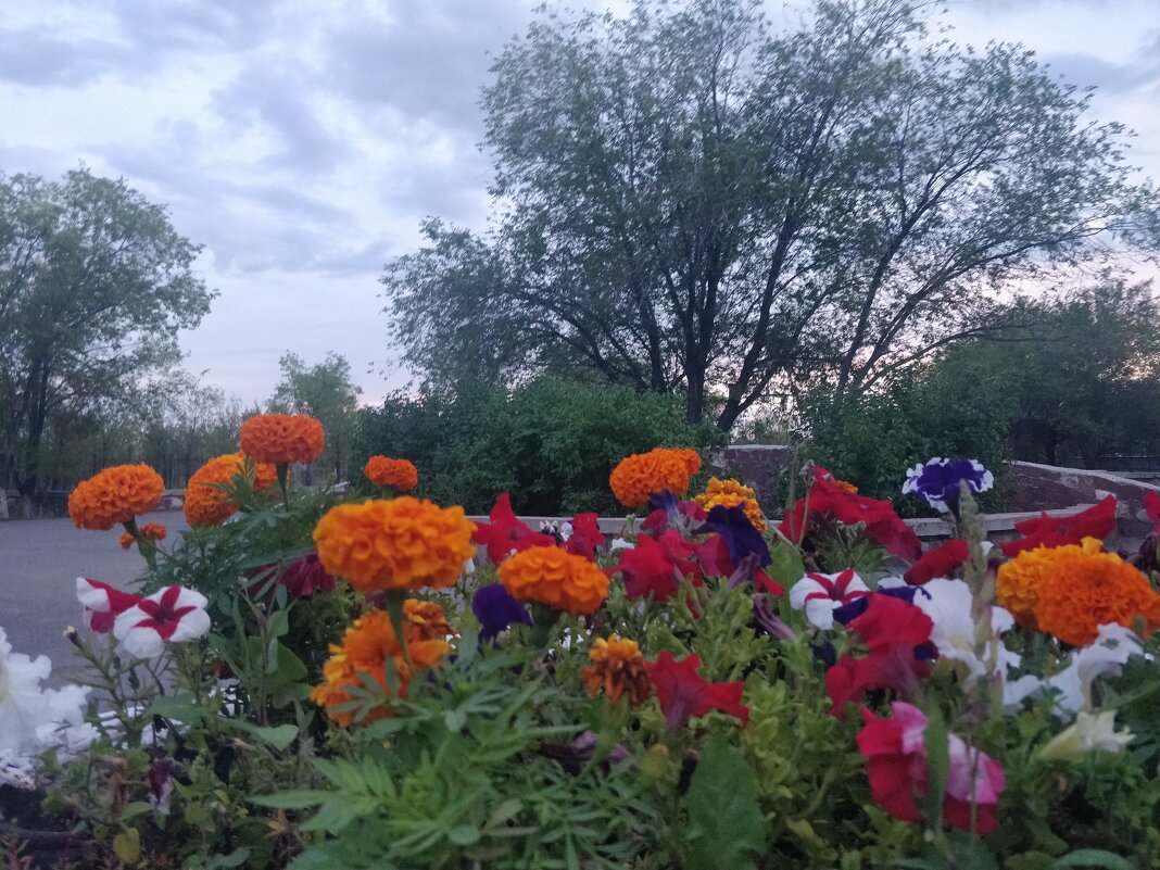 Вечер - Андрей Хлопонин