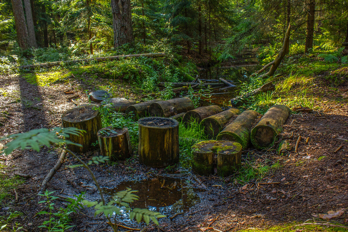 Переправа. - Михаил "Skipper"