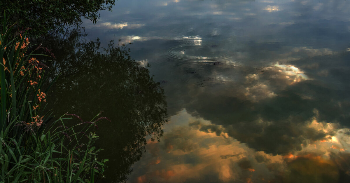 На утренней зорьке. - Владимир Безбородов
