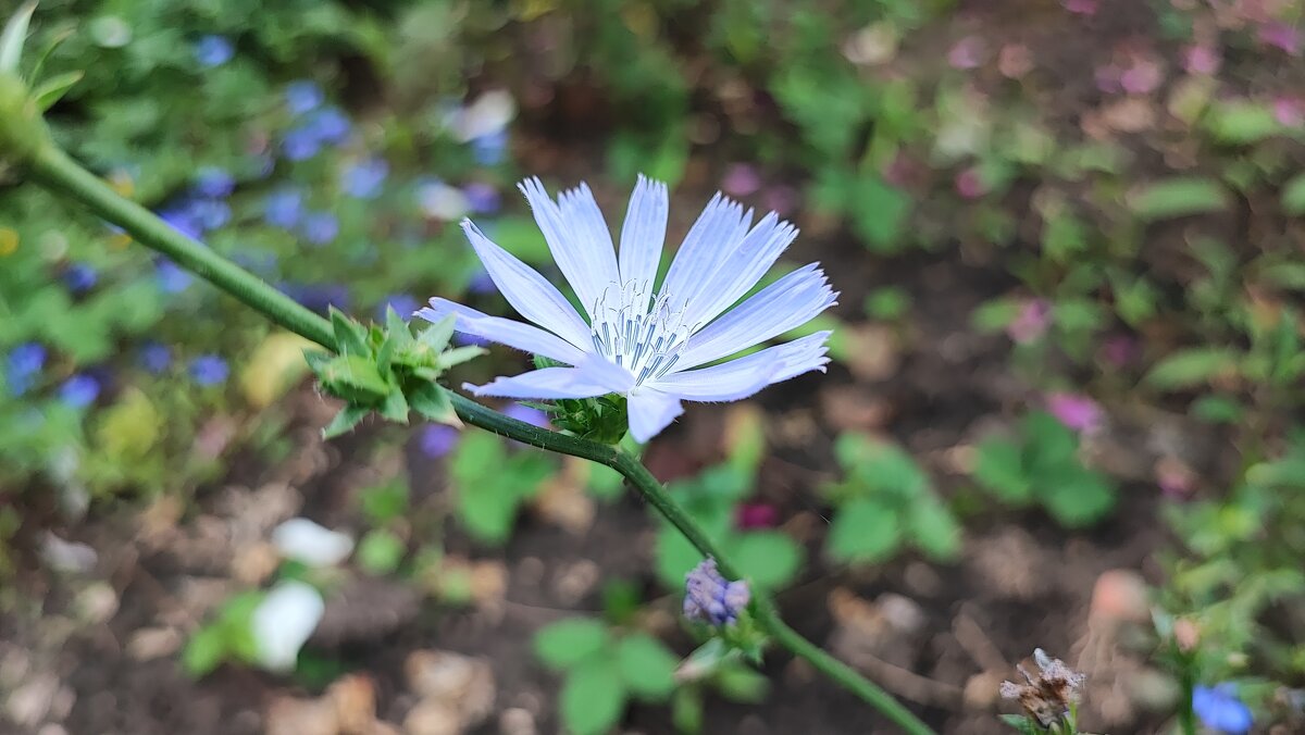 ,,, - Сергей Тимоновский