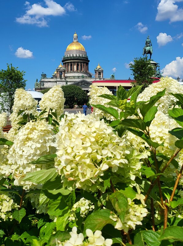 Летний Петербург. - ast62 