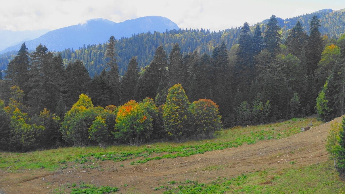 Кавказские горы - Рита Симонова