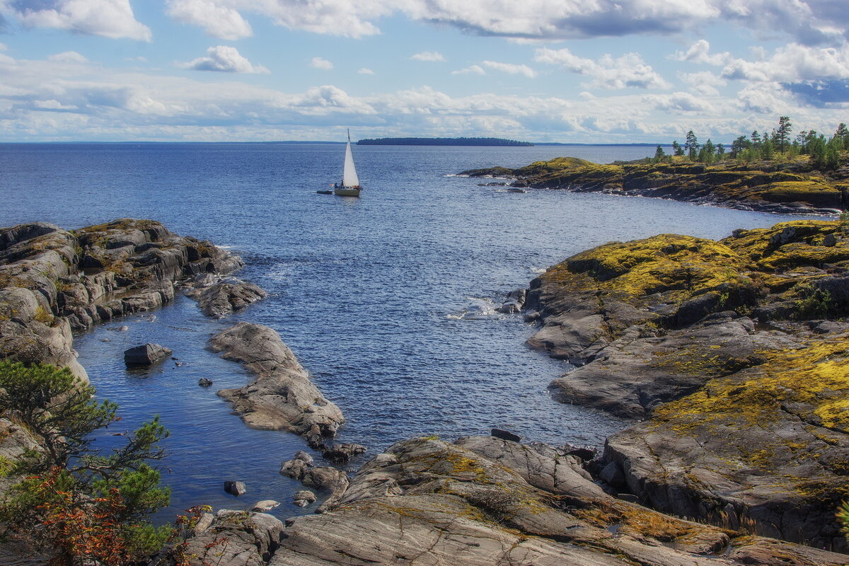 *** - Сергей  Могутов 