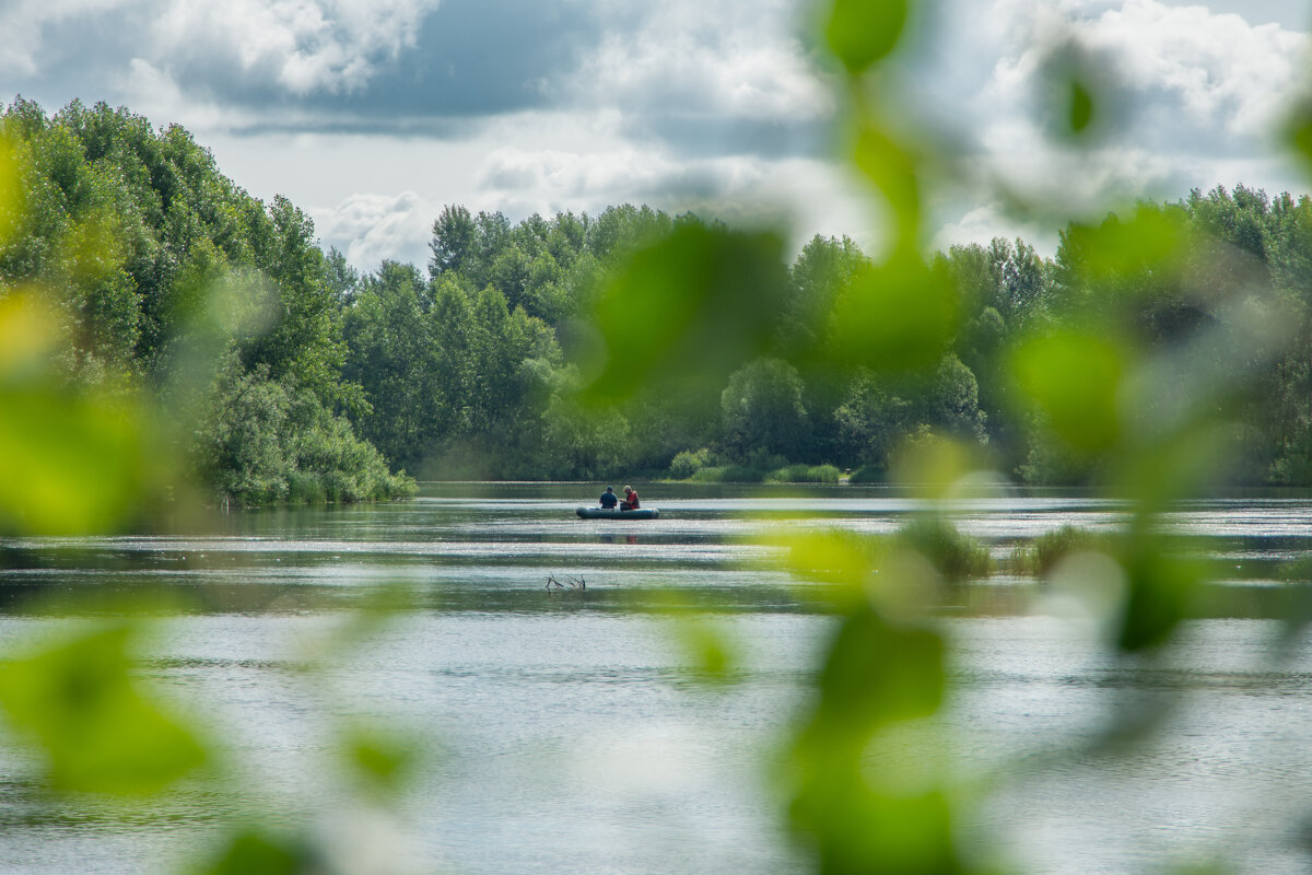 *** - Николай Чекалин