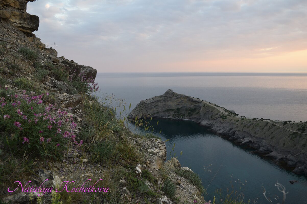 Природа Крыма - Amazing Cosmea