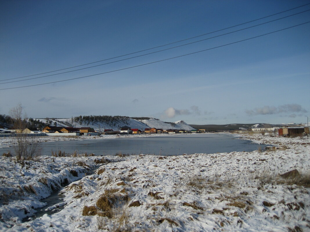 По дороге в лес - Anna Ivanova