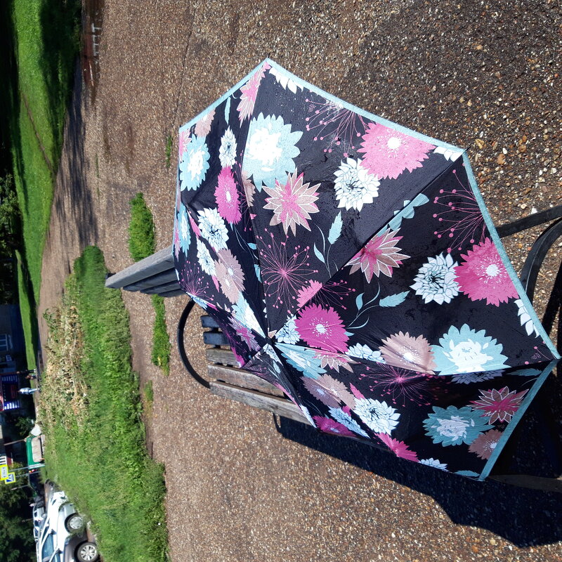 Август. - Венера Чуйкова Август. - Венера Чуйкова