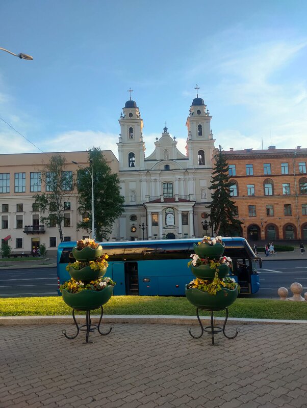 Кафедральный собор Девы Марии в Минске. - Ирэн 