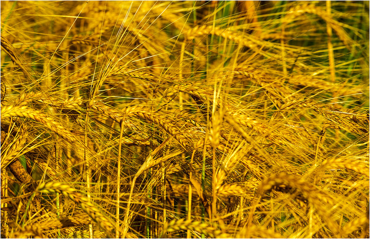 Святое - Валентин Котляров