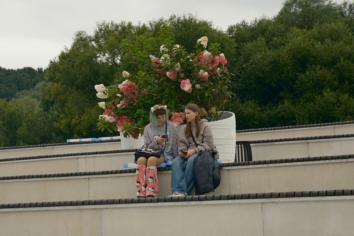 КОЛОМЕНСКАЯ НАБЕРЕЖНАЯ - Лютый Дровосек