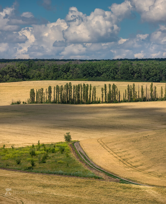 Полевое Белогорье - Фёдор. Лашков