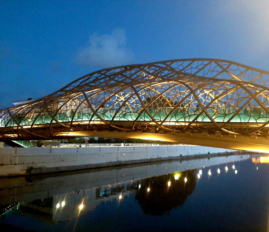 Мост «Волшебный лист» - Tata Wolf