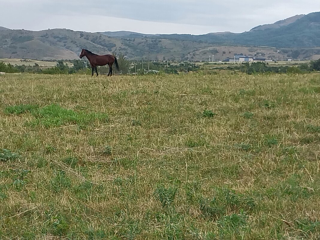 Talgar. - Murat Bukaev Talgar. - Murat Bukaev
