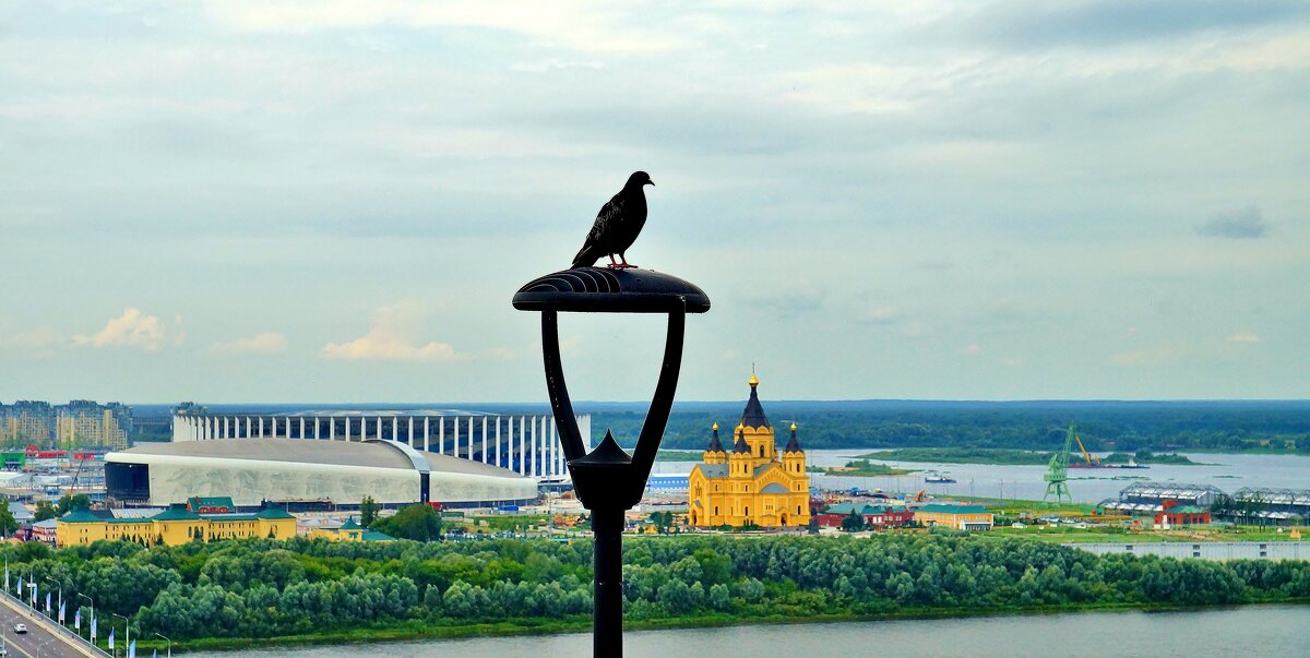 НИЖНИЙ НОВГОРОД - АЛЕКСАНДР 