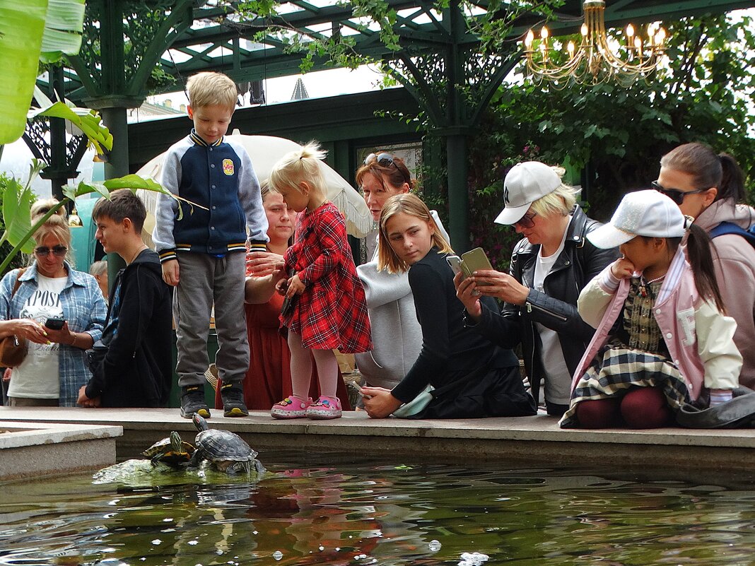 Из жизни прохожих - svk *