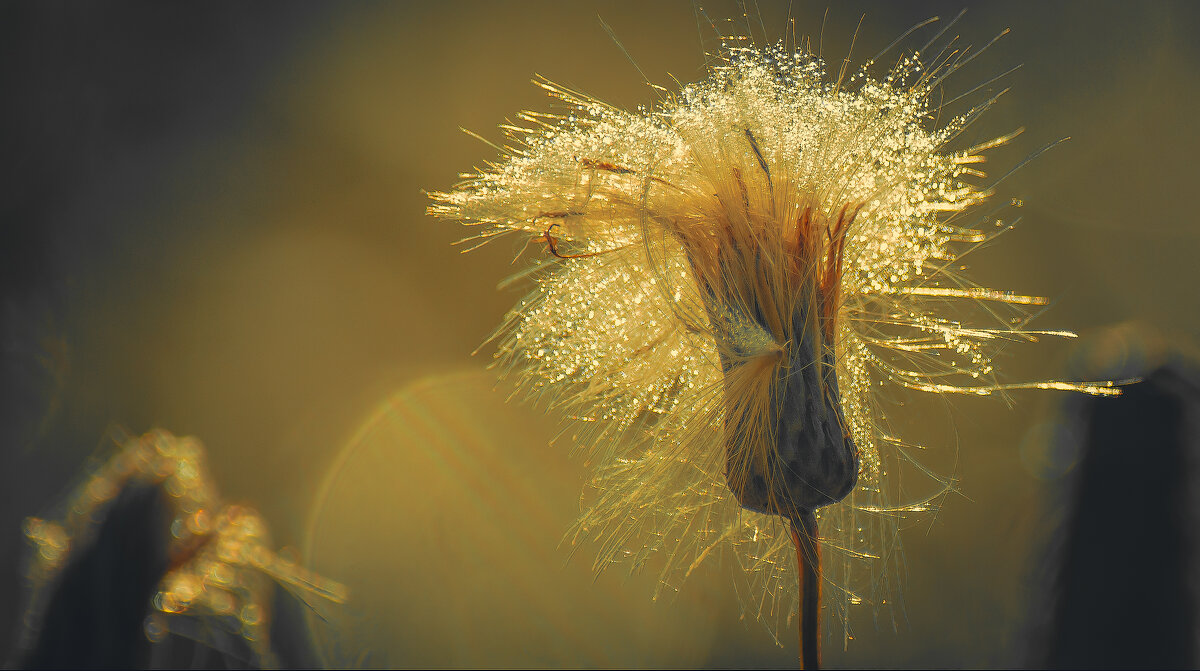 *** - Виктор Иванович Чернюк *** - Виктор Иванович Чернюк