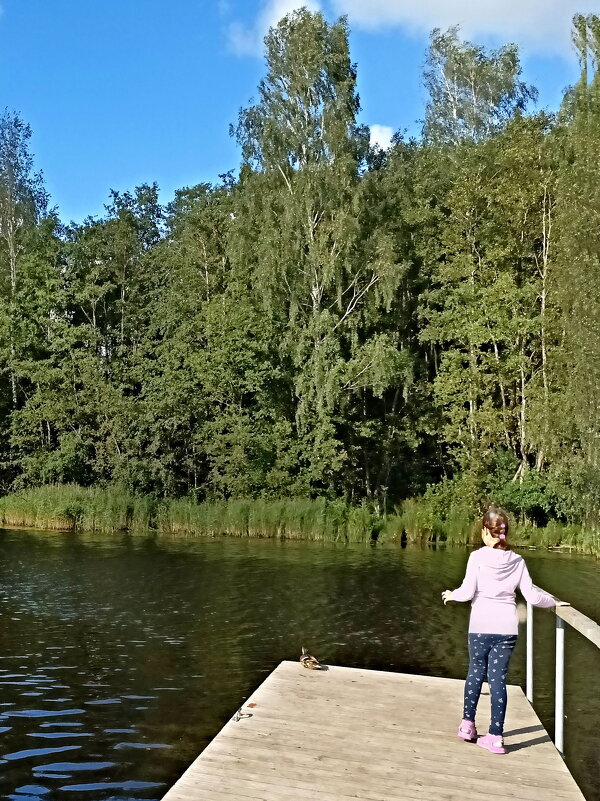 Охота на утку ) - Veera V