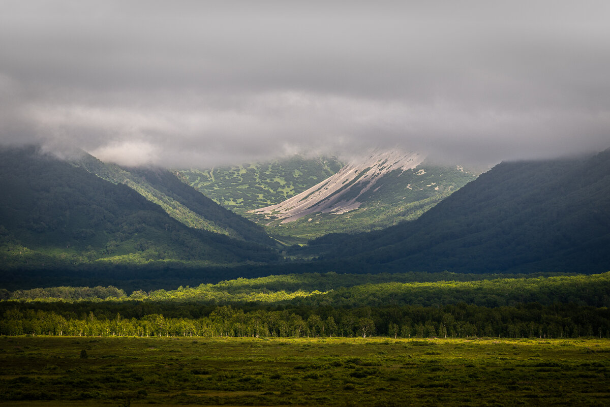 ... - Жора Житников