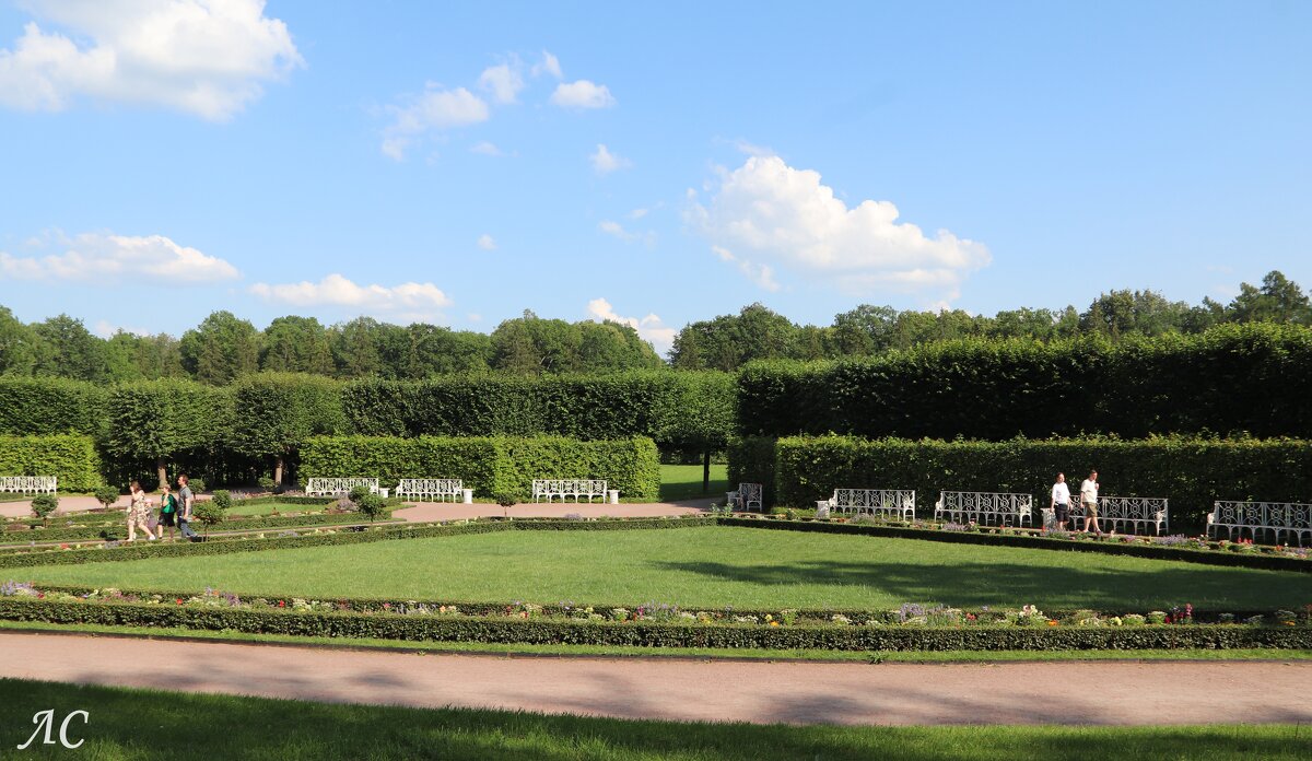 Старый сад - Любовь Сахарова