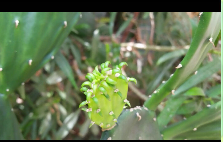 112 (240) - СТРЕН 