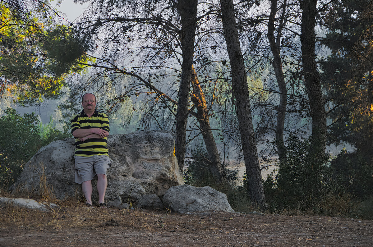 Тишина   в лесу  2012г - ujgcvbif 