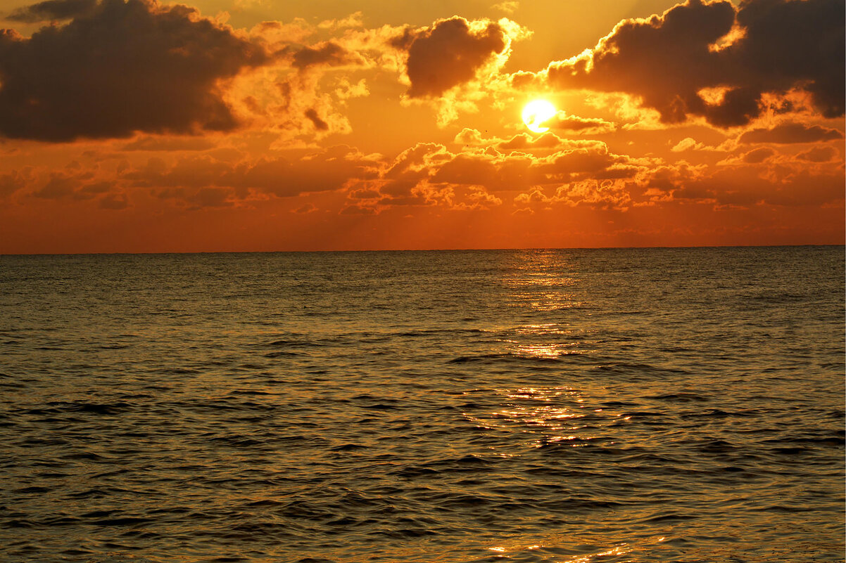 На ЗАКАТЕ... - Дмитрий Петренко