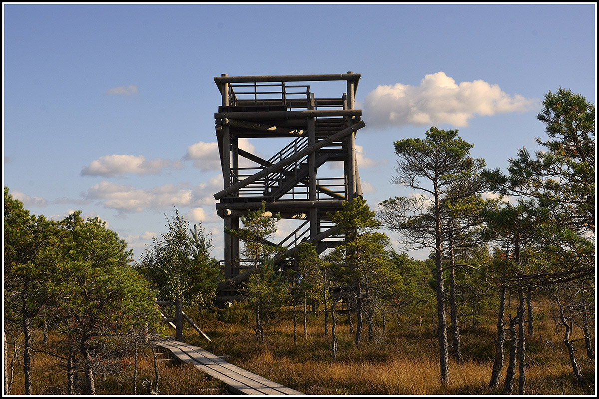 Смотровая площадка... - Aleksandr Gal Смотровая площадка... - Aleksandr Gal