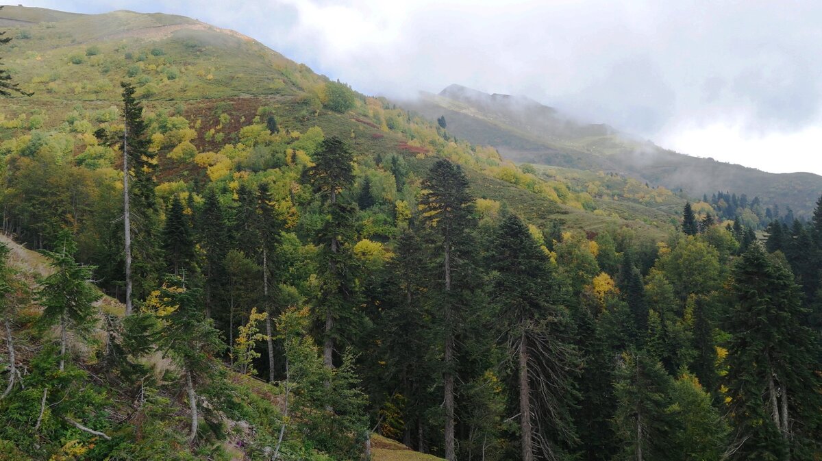 Кавказские горы - Рита Симонова