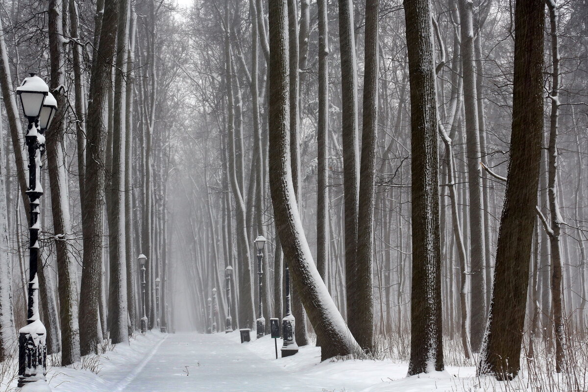 6 апреля Царицыно - Михаил Бибичков