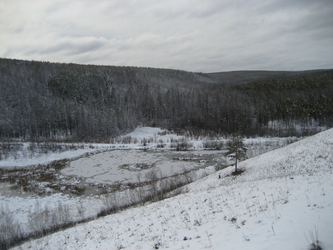 В лесу - Anna Ivanova