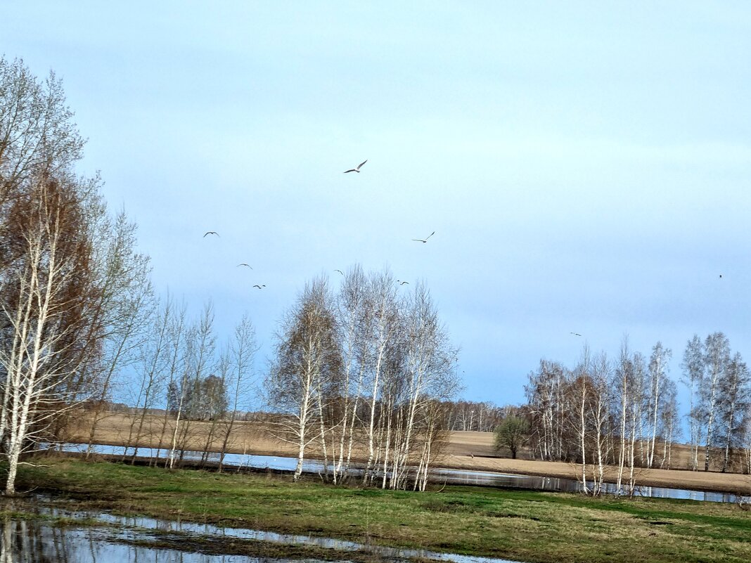 Весна - Валерия .