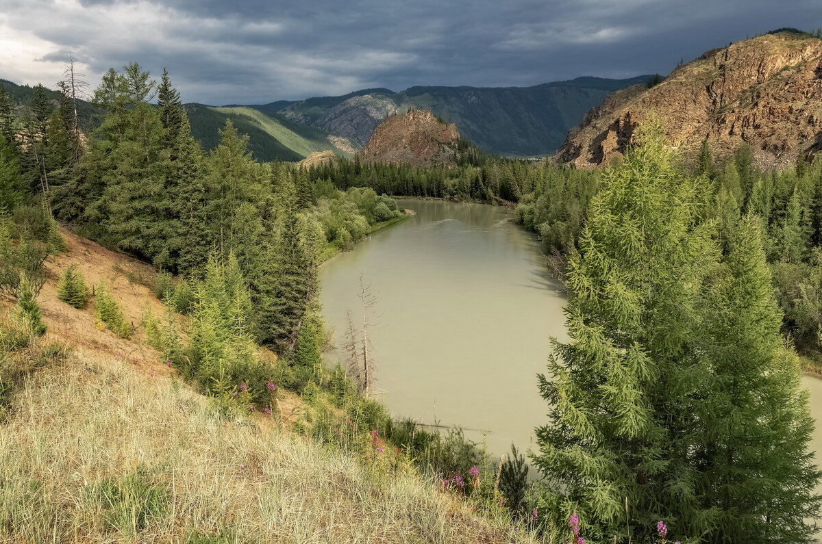 Алтай в непогоду - Марина Фомина.