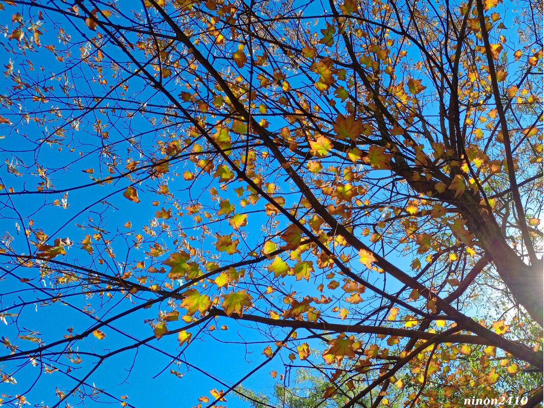 Скоро осень... - Нина Бутко