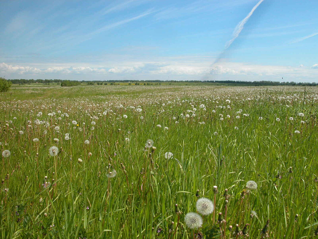 Мечты о небе... - Наталья Лунева Мечты о небе... - Наталья Лунева