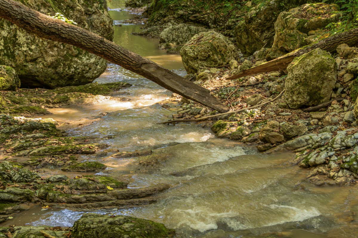 Пешая прогулка вдоль ручья Руфабго - Игорь Сикорский