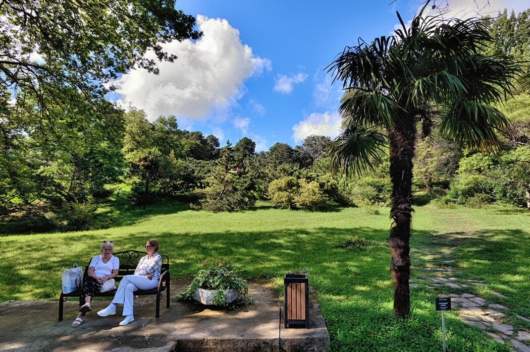 В парке Дендрарий - Mikhail Irtyshskiy