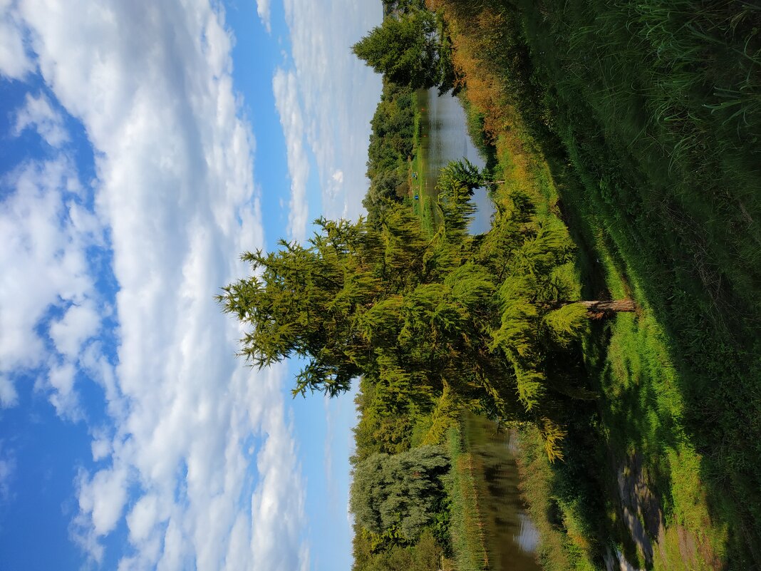 р. Цна - Андрей Лукьянов