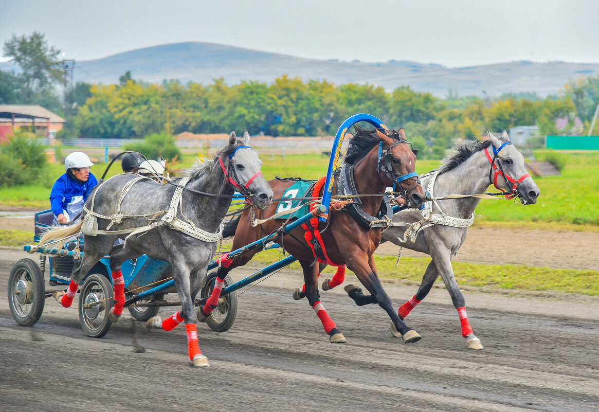 Чудо тройка. - юрий Амосов