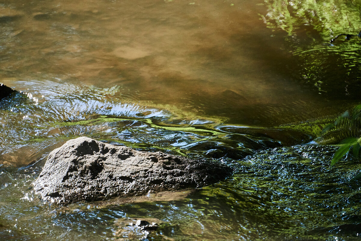 камень и Вода - Александр Леонов