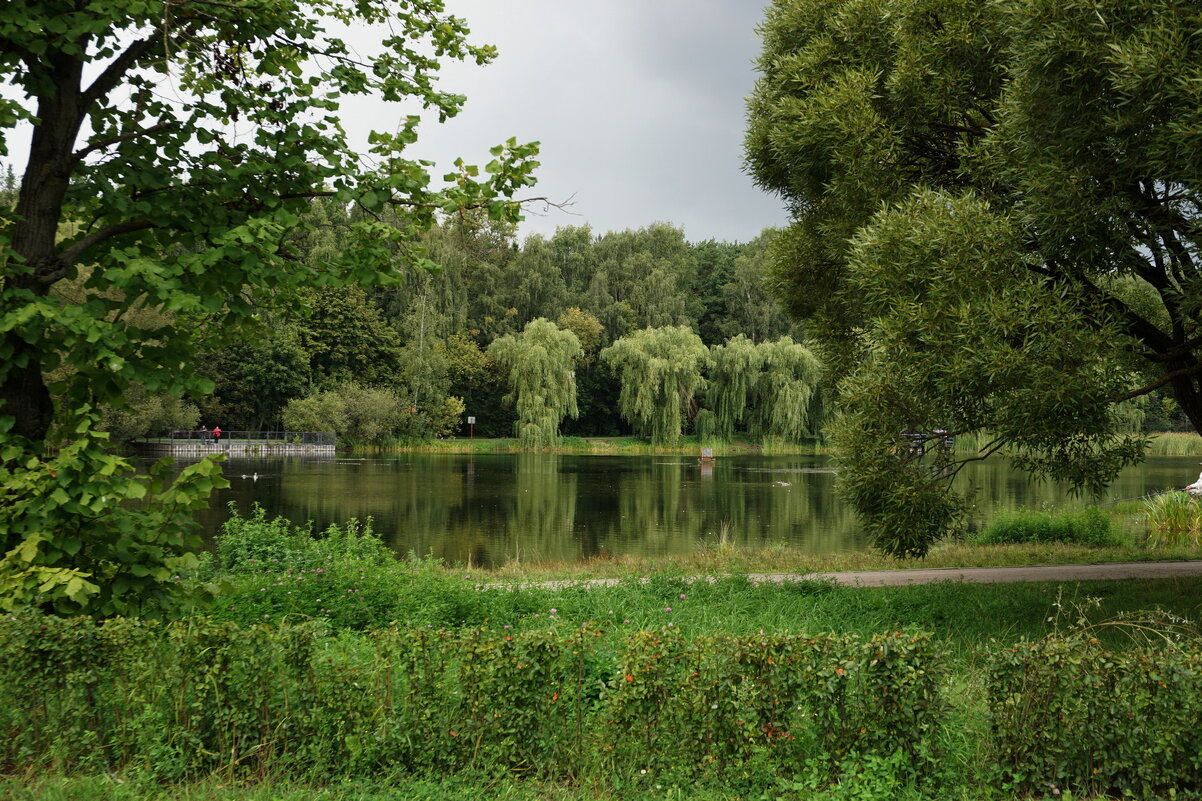 Уж небо осенью дышало. - Олег Чернов