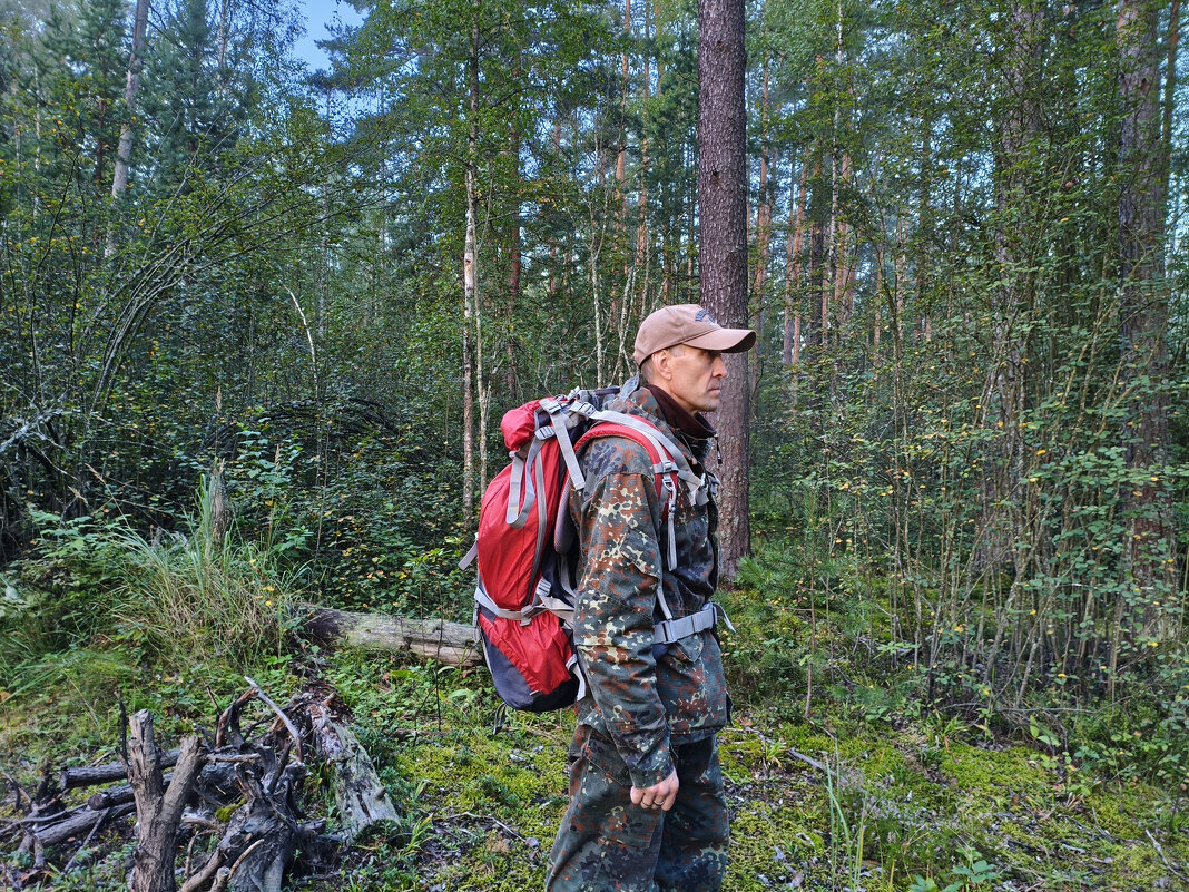 *** - Денис Бочкарёв