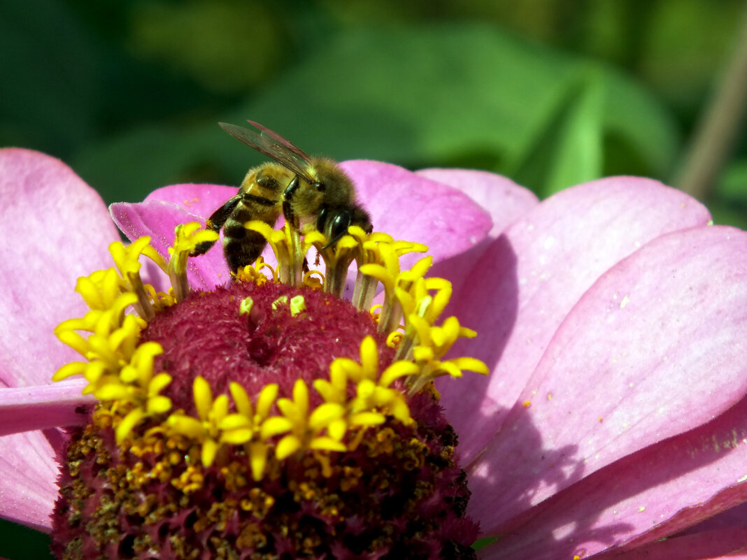 *** - Сергей Сергеев