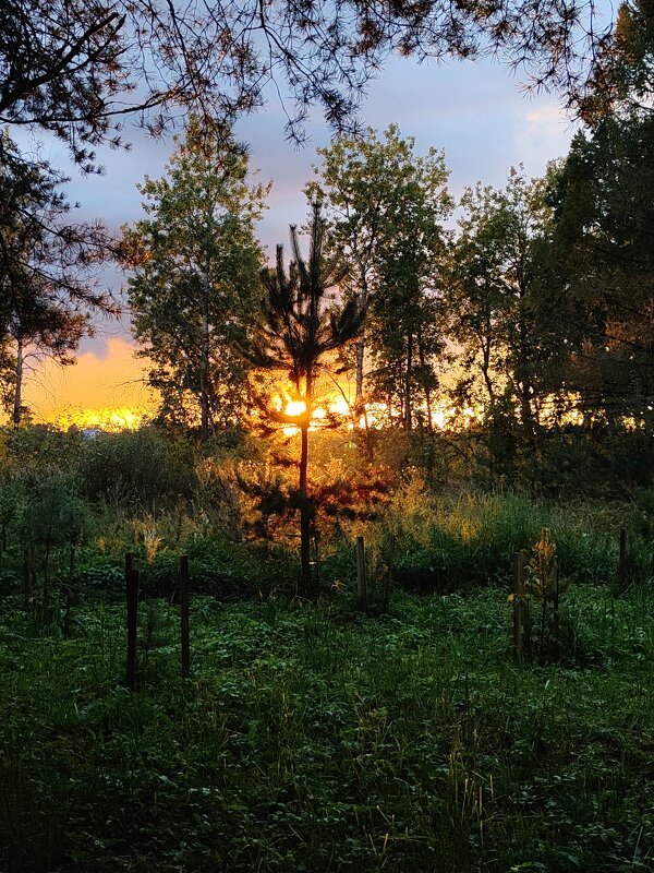 Закат - Андрей 