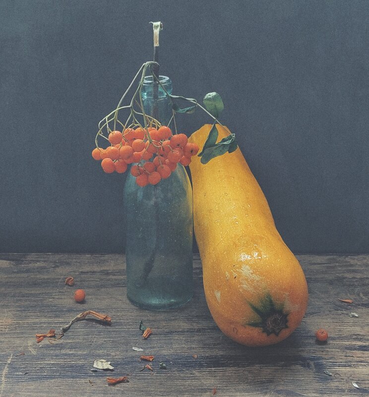 Плоды - Ирина Курмалеева